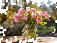 Tulipany, Bukiet, Światło, Różowe