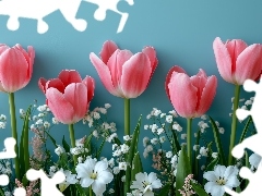 Różowe, Tulipany, Białe, Kwiaty, Kompozycja