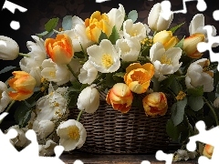 Tulipany, Koszyk, Białe, Żółte, Kwiaty