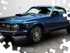 Ford Mustang, Wystawa, Niebieski