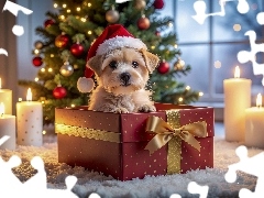 Prezent, Szczeniak, Choinka, Boże Narodzenie, Pies, Świece, Grafika AI