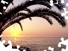 Palma, Ocean, Zachod, Słońca