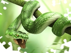 Wąż, Gałąź, Zielony
