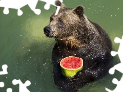 Owoc, Woda, Niedźwiedź