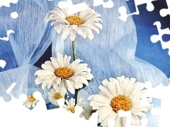 Tkanina, Kwiaty, Białe, Niebieska