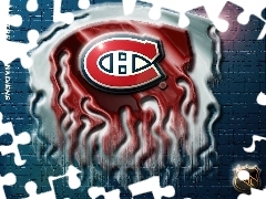 Montreal Canadiens, NHL, Logo, Drużyny
