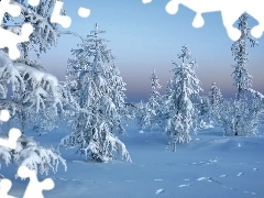 Ośnieżone, Zima, Drzewa