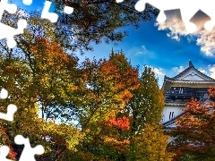 Jesień, Japonia, Zameczek