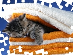 Ręczniki, Kotek, Śpiący, Mały