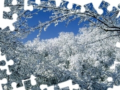 Pokrywa, Śnieżna, Drzewa