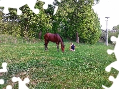 Koń, Dziewczyna, Łąka