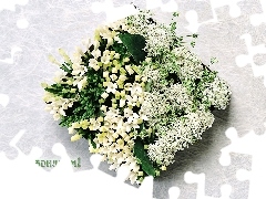 Kwiatki, Doniczka, Białe