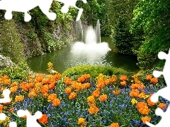 Tulipany, Niezapominajki, Wodospad