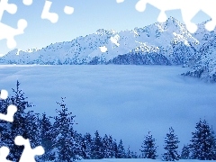 Śnieg, Góry, Zima, Mgła, Choinki