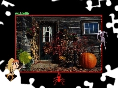 pajęczyna , domek, Halloween
