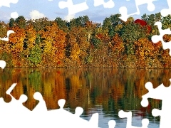 Jezioro, Jesieni, Kolorowe, Odbicie, Barwy
