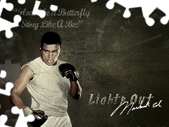 Boks, Muhammad Ali