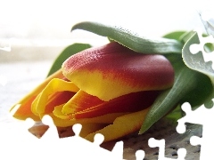 Obrus, Tulipan