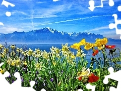 Jezioro, Góry, Różnorodne, Kwiaty
