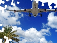 Samolot, Lecący, Palma, Niebo