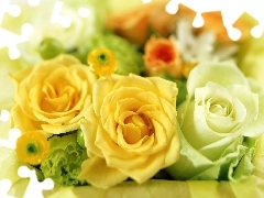 Białe, Żółte, Róże