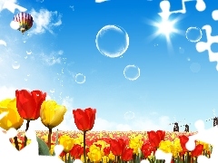 Balon, Wiosna, Tulipany