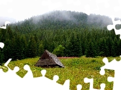 Polana, Góry, Tatry, Przyroda, Szałas, Krajobraz