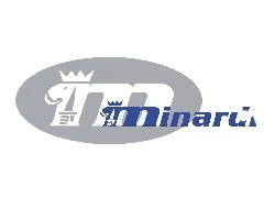 Minardi, Formuła 1