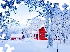 Ośnieżone, Śnieg, Zima, Czerwone, Drzewa, Domy