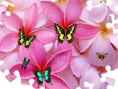 Płatki, Motyle, Kwiaty