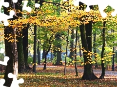 Park, Jesienny