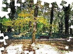 Park, Ławka, Jesienny
