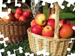 Jabłek, Kosze, Dorodnych