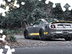 Chicane, Tuning, Ford, Mustang