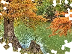 Jesień, Drzewa, Rzeka, Kolorowe