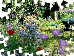 Krzesła, Stolik, Ogród, Kwiaty