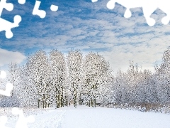 Zima, Niebo, Drzewa, Śnieg
