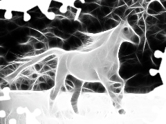 Koń, Wektorowa, Biały
