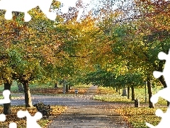 Drzewa, Kolorowe, Jesień, Ławki, Park