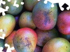 Mango, Owoce