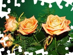 Róże, Wiązanka, Łososiowe