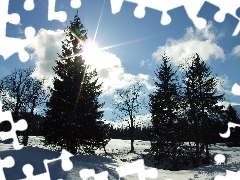 Zima, Drzewa, Słońce, Śnieg
