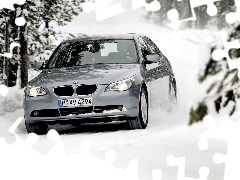 Zima, BMW E60
