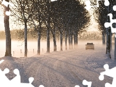 Drzewa, Droga, Zima, Samochód, Śnieg
