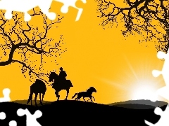 Konie, Jeździec, Zachód, Słońca