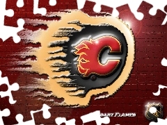 Calgary Flames, NHL, Logo, Drużyny