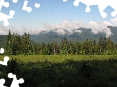Las, Góry, Chmury