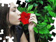 Kwiat, Czerwony, Dziewczyna, Hibiskusa, Profil