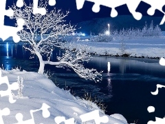Noc, Zimowa, Jezioro, Drzewo