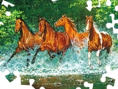 Konie, Rzeka, Cztery